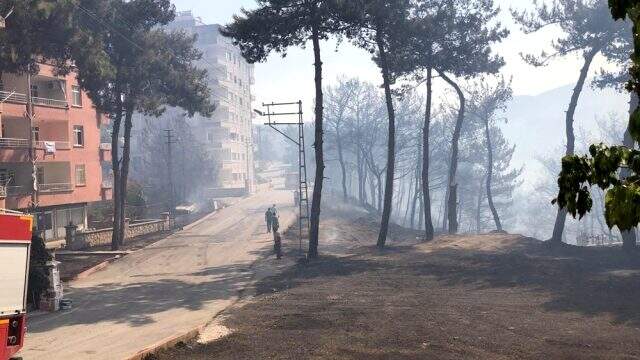 Hatay yangınından yürek yakan fotoğraflar