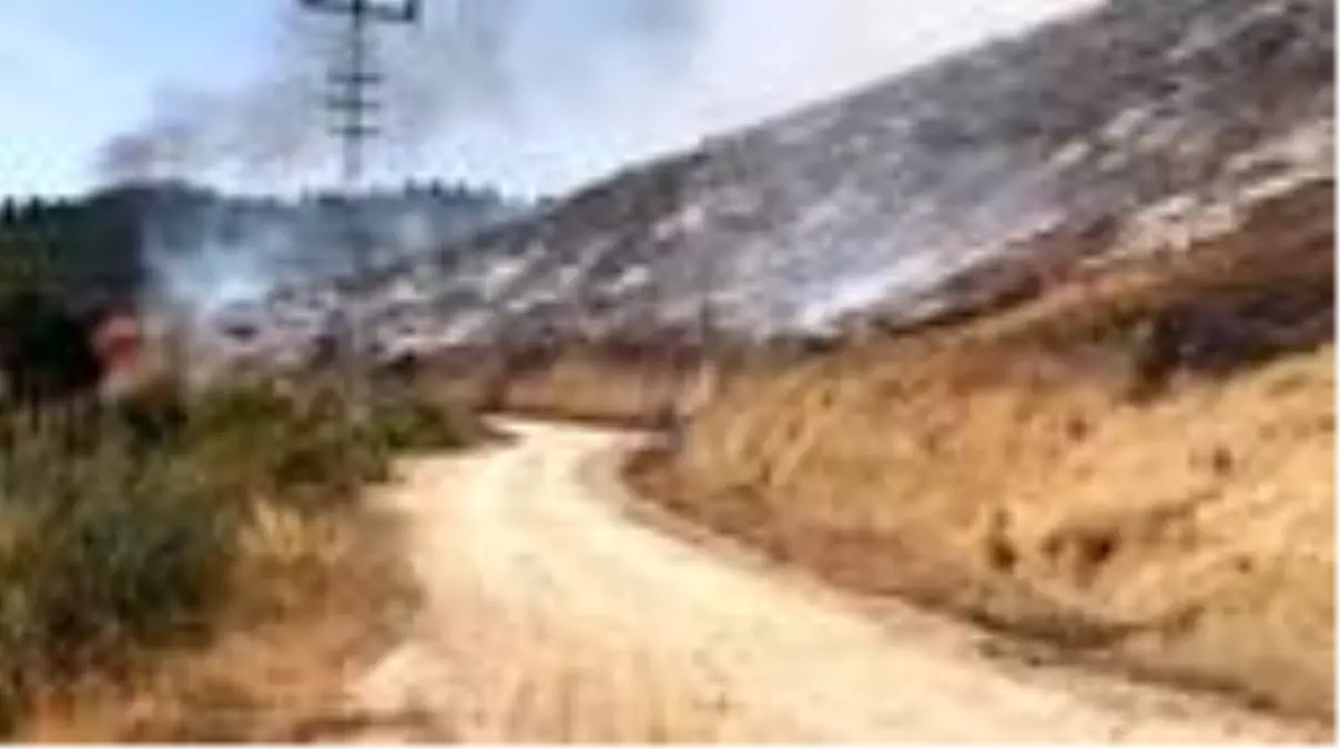 Kahramanmaraş'taki orman yangını sürüyor