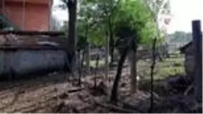 34 yıldır küs olan öz kardeşlerden fıkra gibi arazi kavgası 34 yıldır küs olan öz kardeşlerden fıkra gibi arazi kavgası