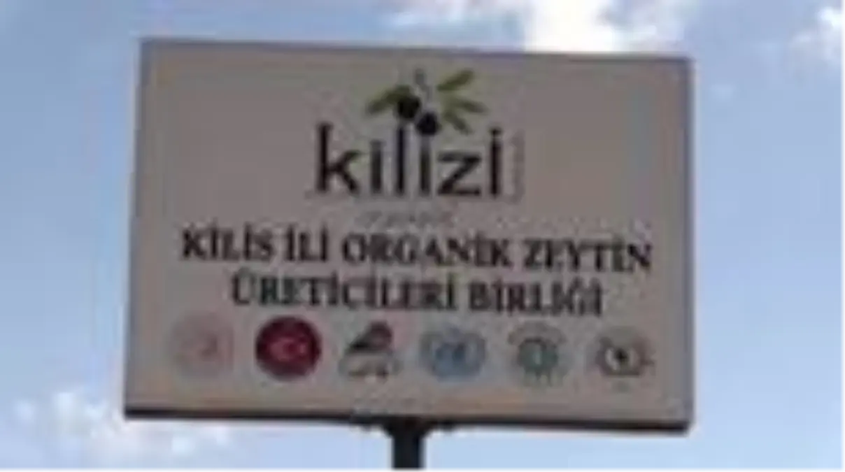 Hadi Ve Suleyman Ozisik Kardeslerden Darbe Paneli Sabah Haber Ofisi