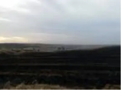 Malkara'da çıkan anız yangınında 2 bin dönüm arazi zarar gördü