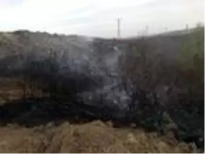 Malkara'da çıkan anız yangınında 2 bin dönüm arazi zarar gördü