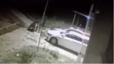 Sarıkamış'ta mahalleye inen bozayı park halindeki motosiklete zarar verdi