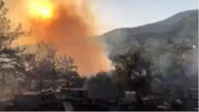 Son Dakika Hatay Daki Orman Yanginlari Tam Olarak Kontrol Altina Alindi Hatay