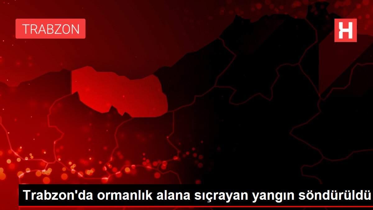 Son Dakika Haberleri Trabzon Da Ormanlik Alana Sicrayan Yangin Sonduruldu Trabzon