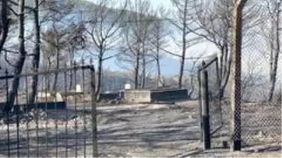 Yerleşim yerlerine ulaşan yangın fabrikaları büyük zarara soktu Yerleşim yerlerine ulaşan yangın fabrikaları büyük zarara soktu