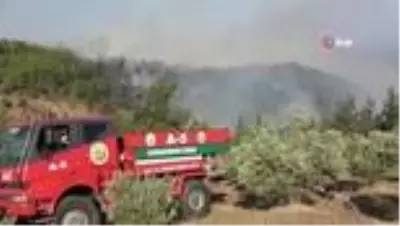 Yerleşim yerlerine ulaşan yangın fabrikaları büyük zarara soktu Yerleşim yerlerine ulaşan yangın fabrikaları büyük zarara soktu