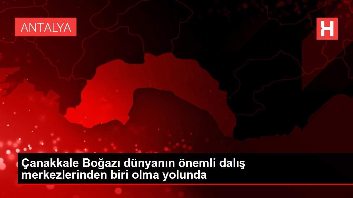 Çanakkale Boğazı dünyanın önemli dalış merkezlerinden biri olma yolunda Çanakkale Boğazı dünyanın önemli dalış merkezlerinden biri olma yolunda