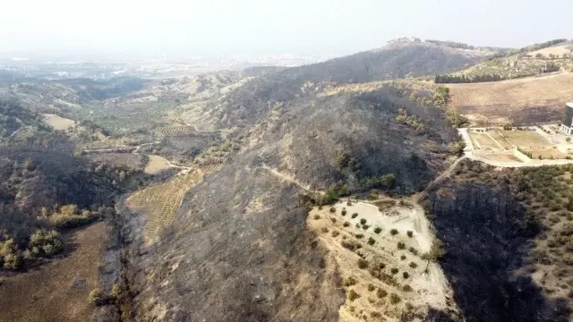 Hatay�da yanan alanlar havadan görüntülendi Haberler