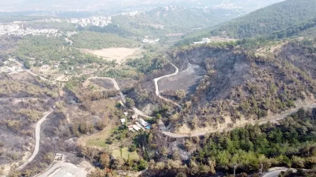 Hatay�da yanan alanlar havadan görüntülendi Haberler