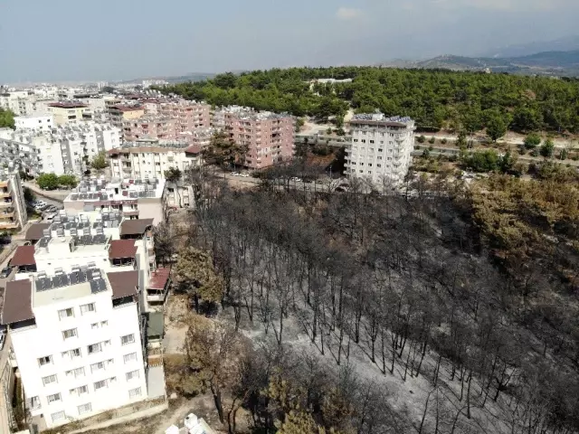 Hatay�da yanan alanlar havadan görüntülendi Haberler