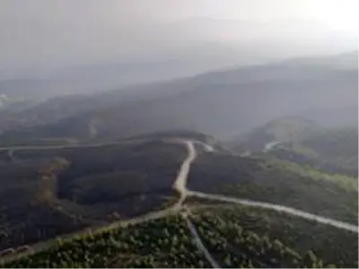Hatay'da yangını soğutma çalışmaları sürüyor Hatay'da yangını soğutma çalışmaları sürüyor