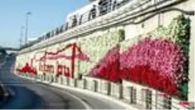 İBB'nin yol kenarlarına, 'dikey bahçe yerine grafiti' çalışması tartışma yarattı (2) İBB'nin yol kenarlarına, 'dikey bahçe yerine grafiti' çalışması tartışma yarattı (2)