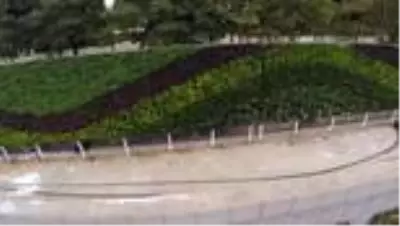 İBB'nin yol kenarlarına, 'dikey bahçe yerine grafiti' çalışması tartışma yarattı (1) İBB'nin yol kenarlarına, 'dikey bahçe yerine grafiti' çalışması tartışma yarattı (1)