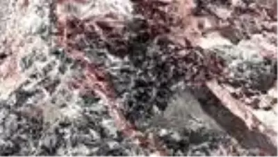 Sarıkamış obsidyeninin rezervinin belirlenmesi talebi