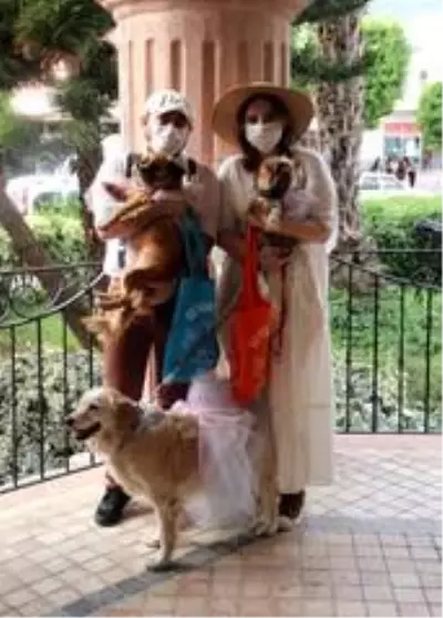 Veteriner çiftin nikahında davetlilere nikah şekeri yerine kedi- köpek maması Veteriner çiftin nikahında davetlilere nikah şekeri yerine kedi- köpek maması
