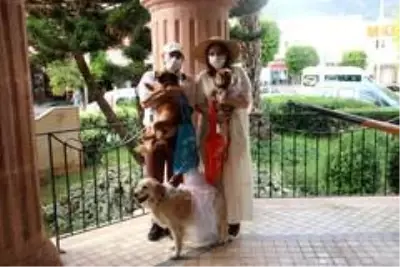 Veteriner çiftin nikahında davetlilere nikah şekeri yerine kedi- köpek maması Veteriner çiftin nikahında davetlilere nikah şekeri yerine kedi- köpek maması