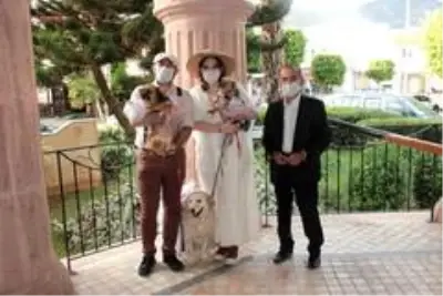 Veteriner çiftin nikahında davetlilere nikah şekeri yerine kedi- köpek maması Veteriner çiftin nikahında davetlilere nikah şekeri yerine kedi- köpek maması