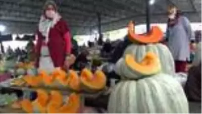 50 kilogramlık kabaklar ilgi görüyor 50 kilogramlık kabaklar ilgi görüyor
