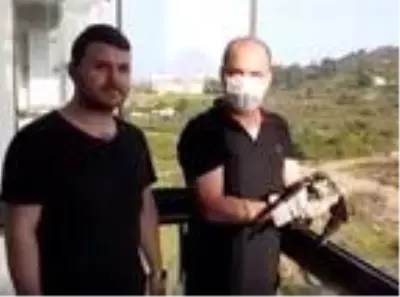 Balkonuna konan doğanı elleriyle besleyip doğaya saldı