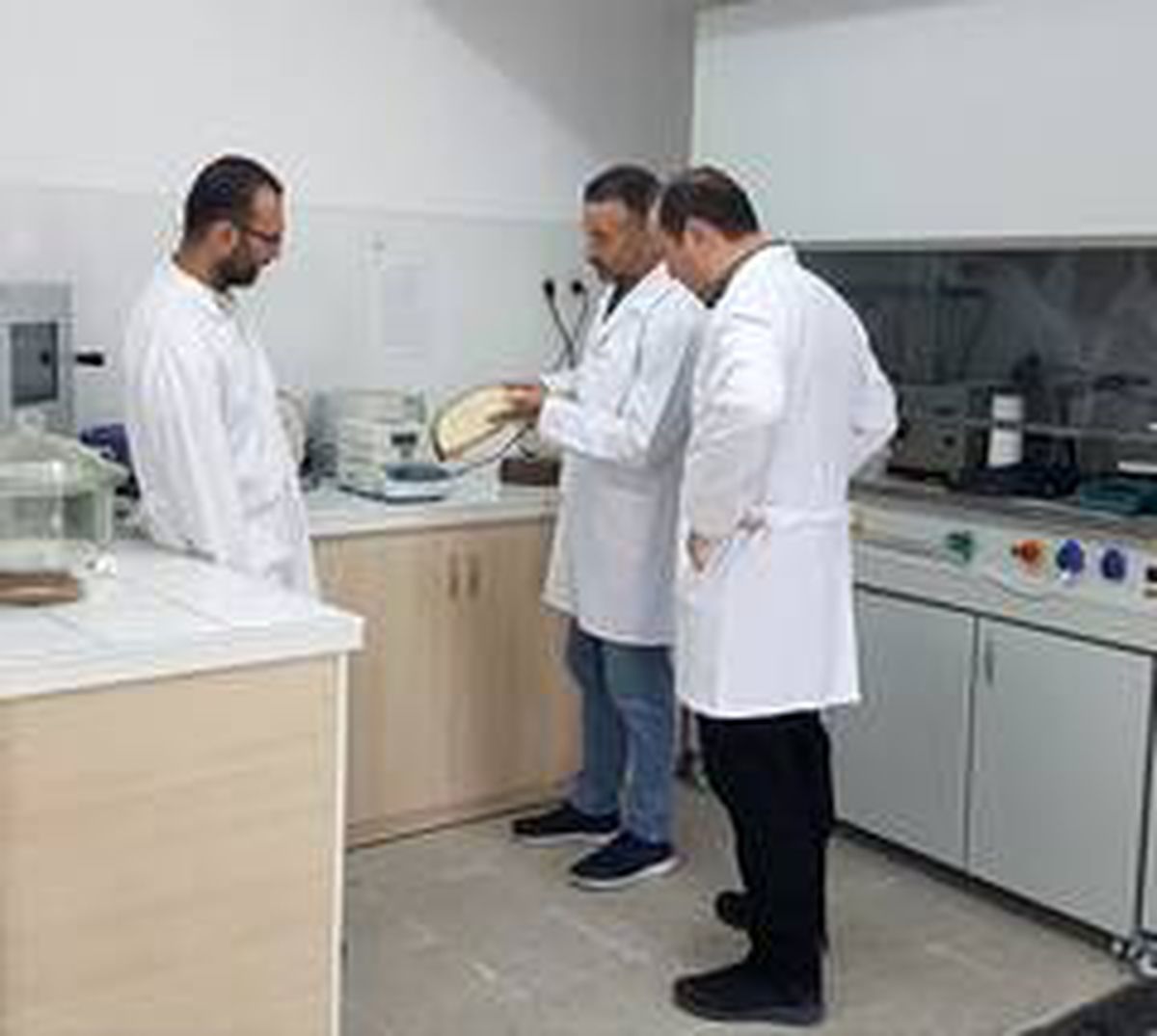 Bartın Üniversitesi'nin projesiyle ahşap 'opak' hale getirilecek