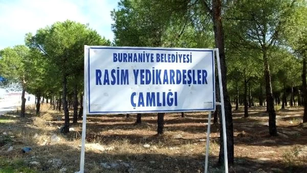 Burhaniye'de CHP'li belediyenin çam ağaçlarını keseceği iddialarına tepki