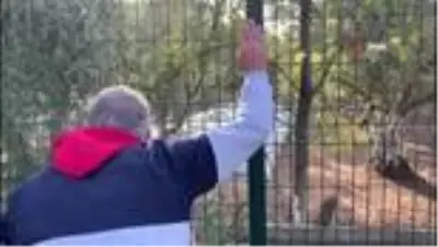 Bursa'da Lahitler Bölgesinde 'Çatkı Mezar' keşfedildi Bursa'da Lahitler Bölgesinde 'Çatkı Mezar' keşfedildi