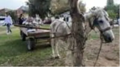 At arabalı hırsızın yalanını polis ortaya çıkardı At arabalı hırsızın yalanını polis ortaya çıkardı