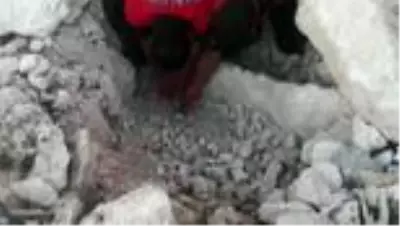 Çöken toprak ve kaya yığınının altında kalan yavru köpek kurtarıldı