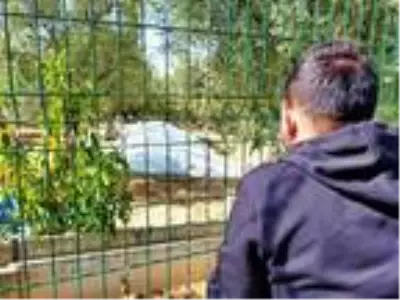 Bursa'da Lahitler Bölgesinde 'Çatkı Mezar' keşfedildi Bursa'da Lahitler Bölgesinde 'Çatkı Mezar' keşfedildi