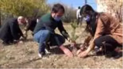 Son Dakika | Öğretmenler Hatay'daki orman yangınına dikkati çekmek için fidan dikti