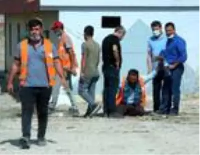 Ölen arkadaşlarının cansız bedeninin etrafında sinir krizi geçirdiler