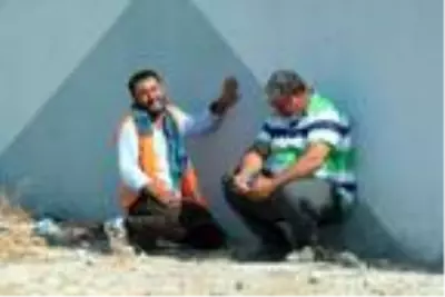Ölen arkadaşlarının cansız bedeninin etrafında sinir krizi geçirdiler