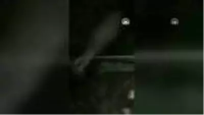 Otomobilin çarptığı geyik tedaviye alındı Otomobilin çarptığı geyik tedaviye alındı