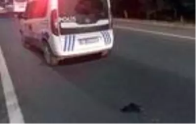 Son dakika haber: Otomobilin çarptığı yaya öldü Son dakika haber: Otomobilin çarptığı yaya öldü