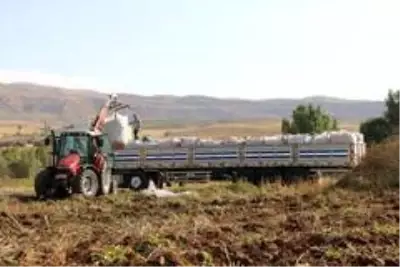 Patatesin tarlada 75 kuruşa düşmesi üreticiyi üzdü Patatesin tarlada 75 kuruşa düşmesi üreticiyi üzdü