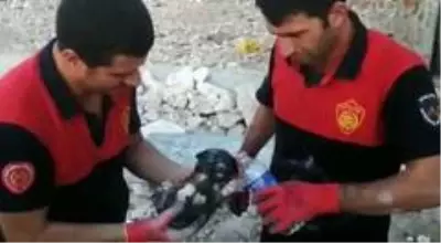 Çöken toprak ve kaya yığınının altında kalan yavru köpek kurtarıldı