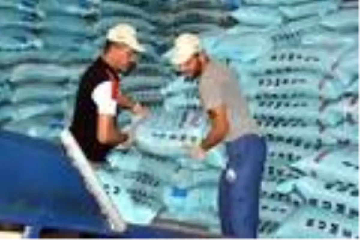 Tekirdağ'da sıcağa dayanıklı üretilen tohumlar Irak'a ihraç ediliyor