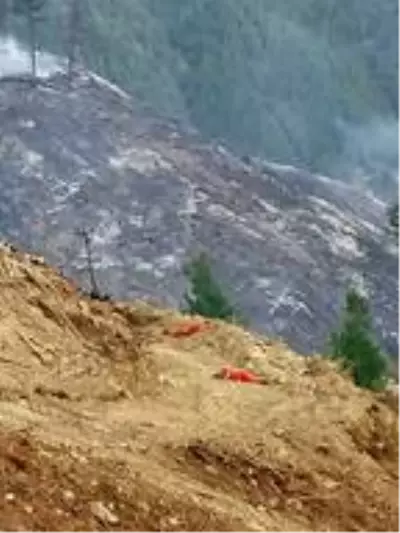 Son dakika haberi! Yangını söndürdükten sonra toprakta uyuyan işçiler Yangını söndürmenin sevinci tarif... Son dakika haberi! Yangını söndürdükten sonra toprakta uyuyan işçiler Yangını söndürmenin sevinci tarif...