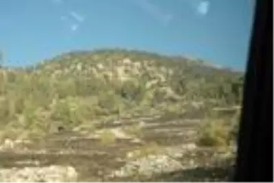 Son dakika haberi! Yangını söndürdükten sonra toprakta uyuyan işçiler Yangını söndürmenin sevinci tarif... Son dakika haberi! Yangını söndürdükten sonra toprakta uyuyan işçiler Yangını söndürmenin sevinci tarif...