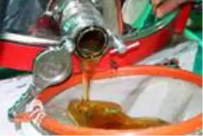 Bu yıl 2 ton üretilen Anzer balı, kilosu bin liradan satışa çıkarıldı