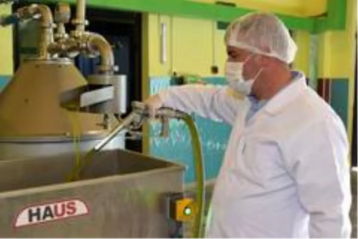 Aliağalı girişimciden kaliteli zeytinyağı atağı