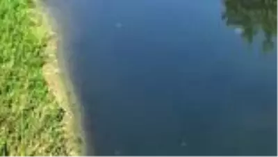 Bartın ırmağında azalan su miktarı kirliliğe ve kokuya neden oldu Bartın ırmağında azalan su miktarı kirliliğe ve kokuya neden oldu
