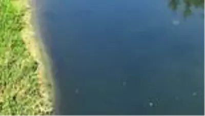 Bartın ırmağında azalan su miktarı kirliliğe ve kokuya neden oldu Bartın ırmağında azalan su miktarı kirliliğe ve kokuya neden oldu