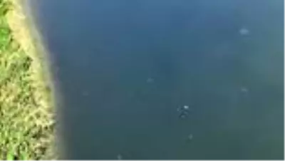 Bartın ırmağında azalan su miktarı kirliliğe ve kokuya neden oldu Bartın ırmağında azalan su miktarı kirliliğe ve kokuya neden oldu