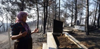 Son dakika haber! Hatay'daki orman yangınında mezarlıklar da zarar gördü