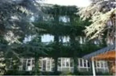 Şehrin ortasında botanik bahçesini andıran okul Şehrin ortasında botanik bahçesini andıran okul