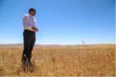 Son dakika gündem: Sivas'ta doğal afetlerden zarar gören çiftçilere 8 milyon TL ödenecek Son dakika gündem: Sivas'ta doğal afetlerden zarar gören çiftçilere 8 milyon TL ödenecek
