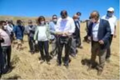 Son dakika gündem: Sivas'ta doğal afetlerden zarar gören çiftçilere 8 milyon TL ödenecek Son dakika gündem: Sivas'ta doğal afetlerden zarar gören çiftçilere 8 milyon TL ödenecek