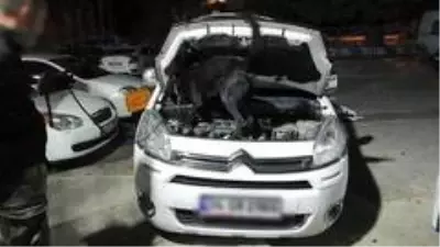 Arabaya özel bölme yaptılar ama 'Börü'den kaçamadılar Arabaya özel bölme yaptılar ama 'Börü'den kaçamadılar